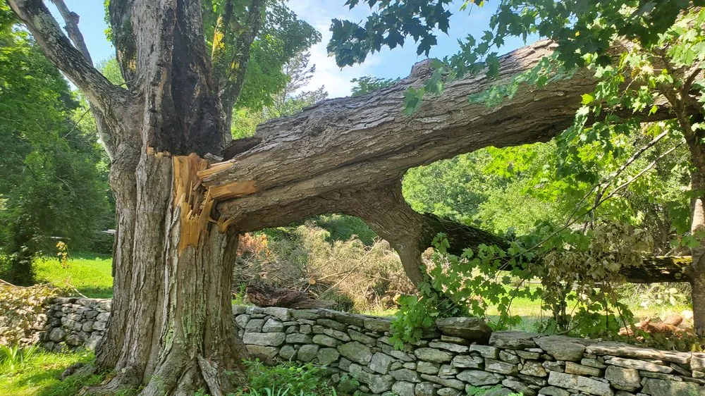 Expert garden landscaping with custom design across Sharon, CT - McDonald Lawn and Garden