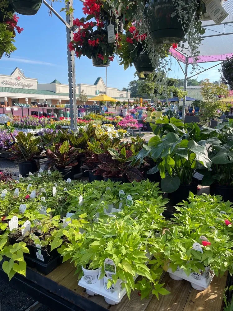 Reliable garden landscaping near you across Yorktown, VA - McDonald’s Garden Center