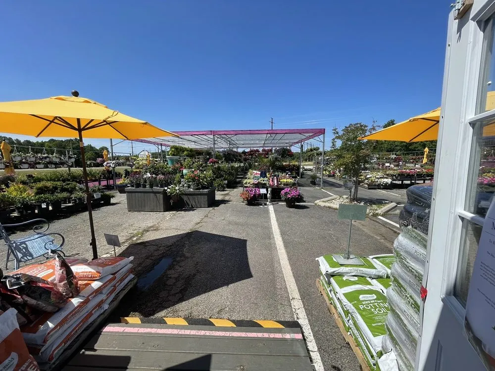 Professional landscaping services for beautiful yards across Yorktown, VA - McDonald’s Garden Center