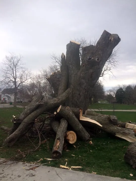 Expert landscape design with custom design across Newton, IA - McDonald's Lawn Service