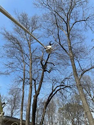 Top-rated outdoor landscaping experts serving Newton, IA - McDonald's Lawn Service