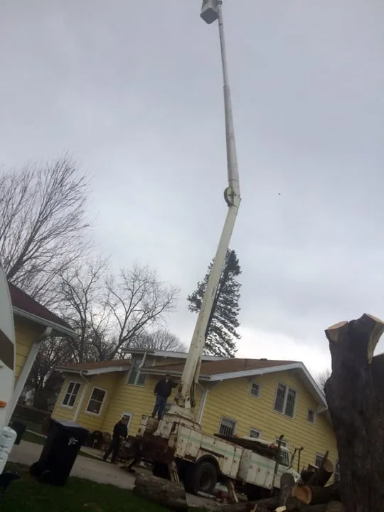 Local yard cleanup service with custom design in Newton, IA by McDonald's Lawn Service