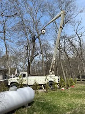 McDonald's Lawn Service