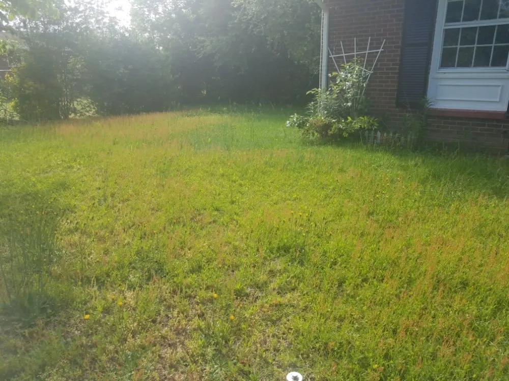 Reliable outdoor landscaping near you across Eastover, NC - McDonald's Lawncare