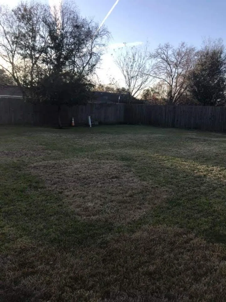 Affordable landscaping services in Eastover, NC by McDonald's Lawncare