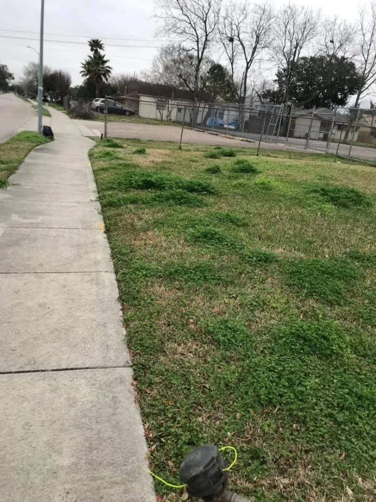 Top-rated yard maintenance experts serving Eastover, NC - McDonald's Lawncare