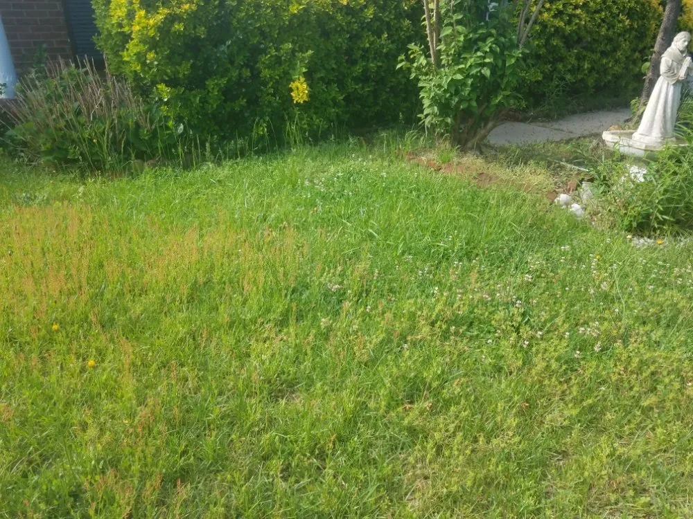 Trusted landscaping services for homes across Eastover, NC - McDonald's Lawncare