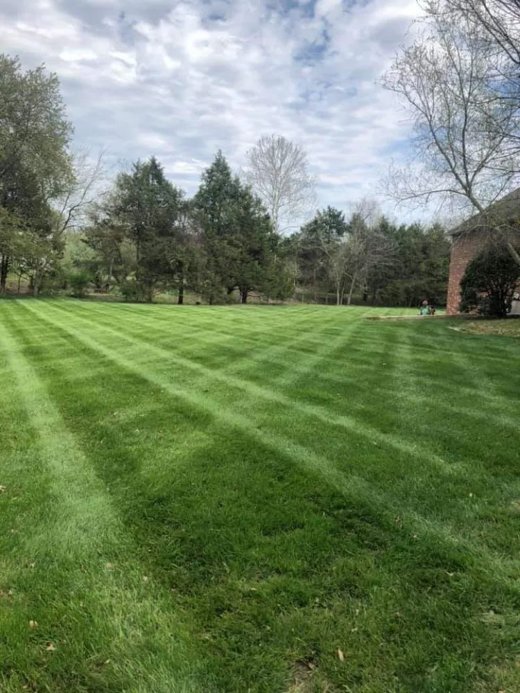Trusted yard cleanup service in Eastover, NC by McDonald's Lawncare