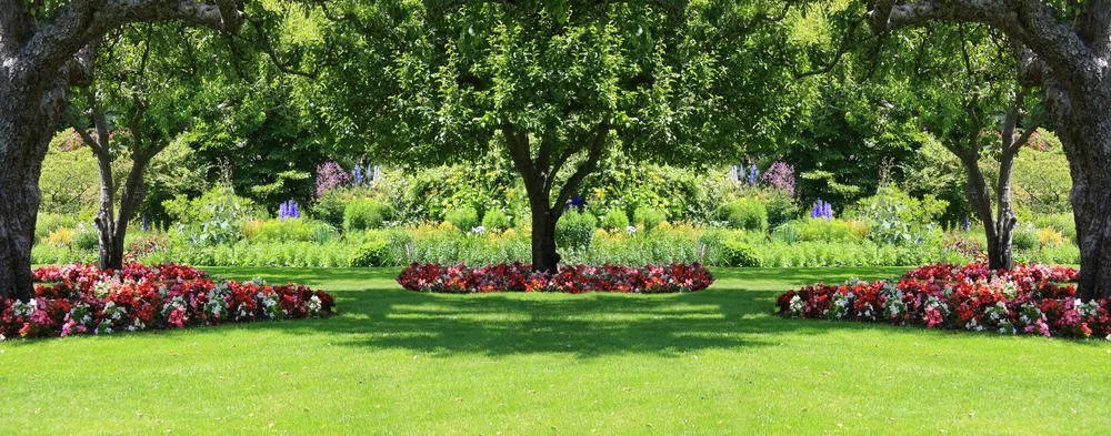 Local yard maintenance for homes in Niantic, CT by McDonough Enterprises