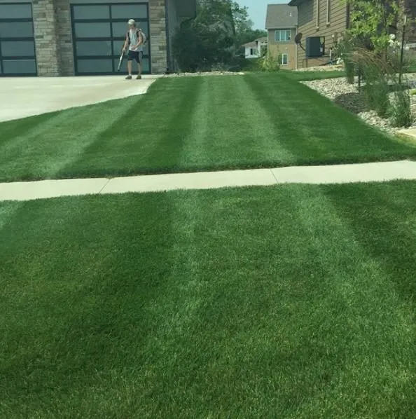 Reliable yard cleanup service in West Des Moines, IA - McDougal & Sons Lawn Care