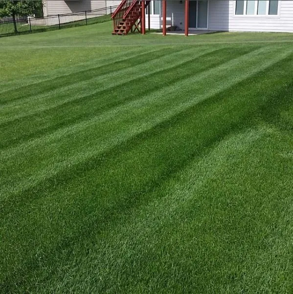 Reliable yard maintenance in West Des Moines, IA - McDougal & Sons Lawn Care