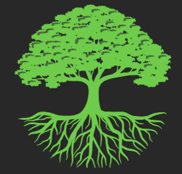 Reliable lawn care service for homes in Queen Creek, AZ by McDowell Landscaping