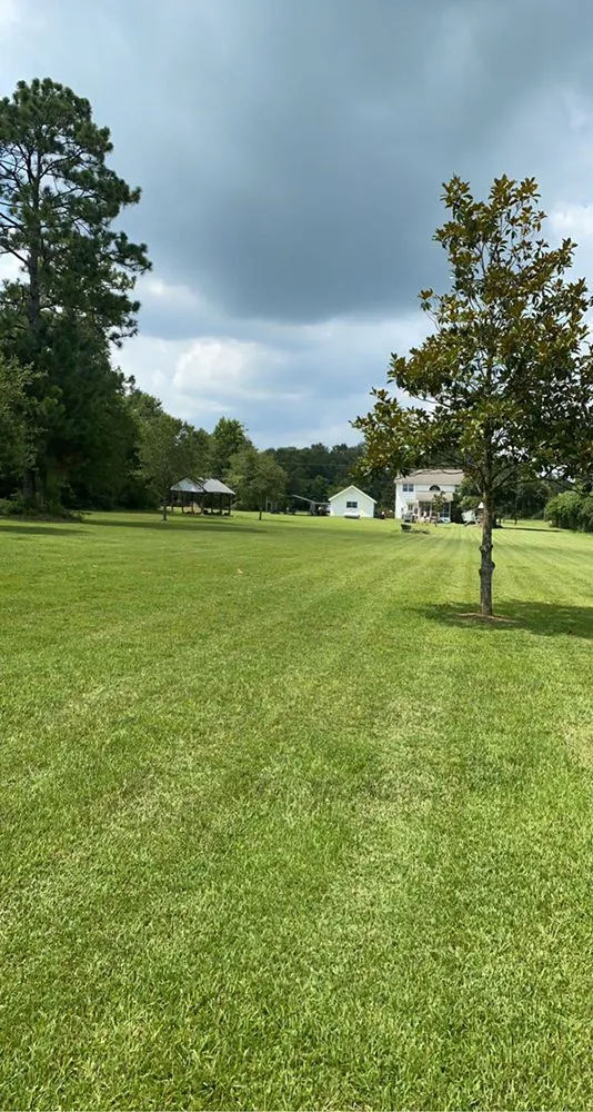 Trusted outdoor landscaping in Folsom, LA - McDow’s Landscaping