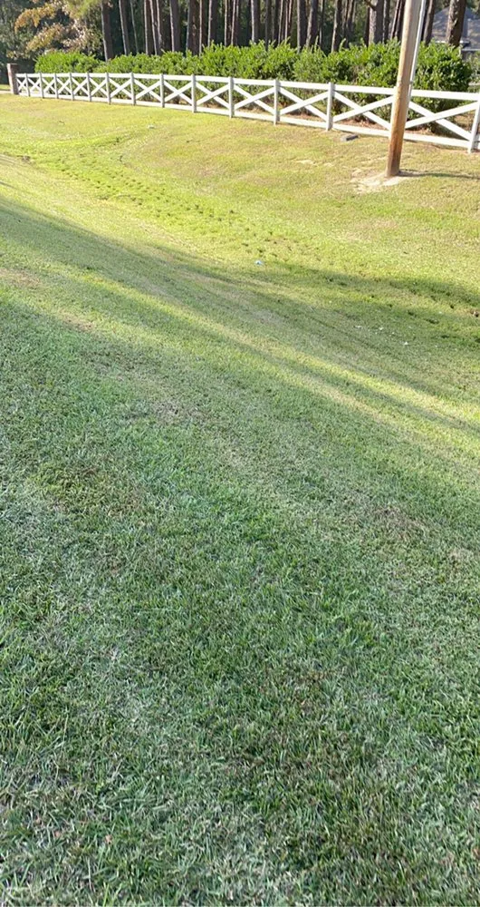 Professional yard cleanup service experts serving Folsom, LA - McDow’s Landscaping