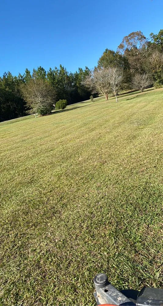 Affordable yard maintenance in Folsom, LA - McDow’s Landscaping