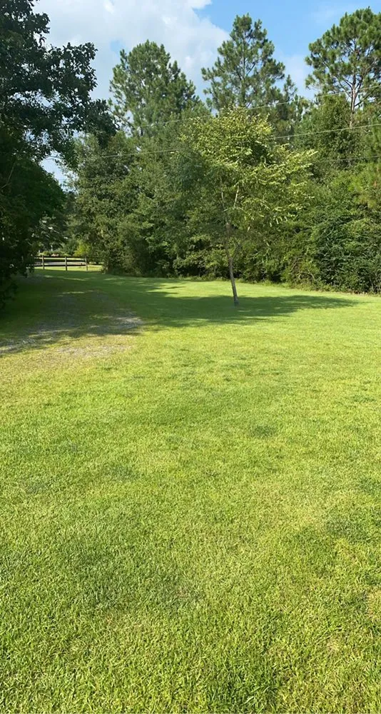 Expert lawn care service for residential properties across Folsom, LA - McDow’s Landscaping
