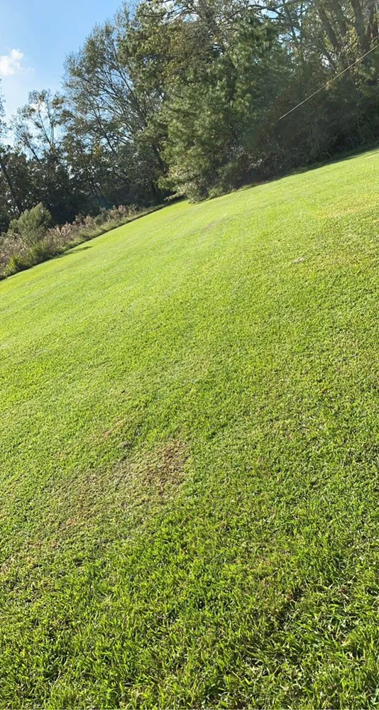 Custom yard cleanup service in Folsom, LA by McDow’s Landscaping