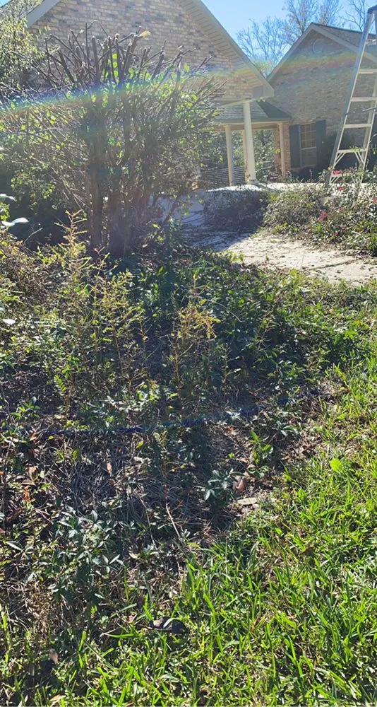 Trusted landscaping services with custom design in Folsom, LA by McDow’s Landscaping