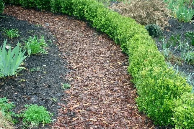 Local yard cleanup service in Gray, GA - McDuffie's Lawncare