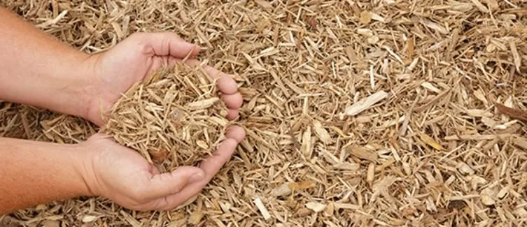 Local lawn mowing service experts serving Gray, GA - McDuffie's Lawncare