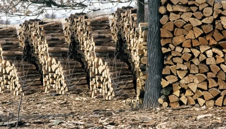 Local lawn mowing service for beautiful yards in Gray, GA by McDuffie's Lawncare