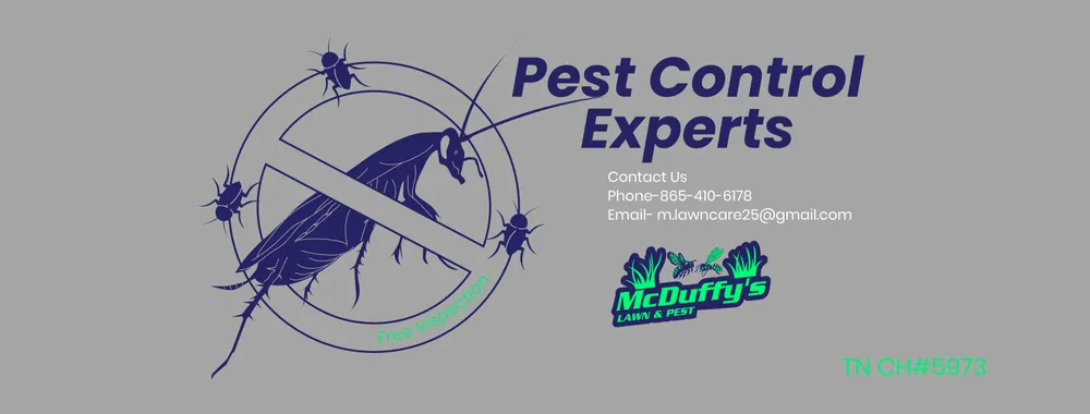 Professional lawn care service in Newport, TN by McDuffy's Lawn & Pest