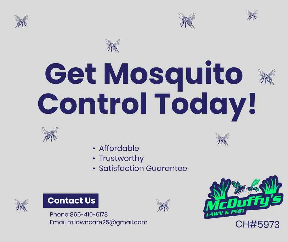 Trusted yard cleanup service in Newport, TN - McDuffy's Lawn & Pest