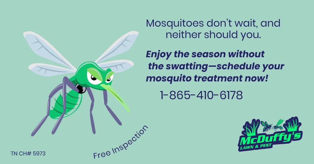 Top-rated landscape installation experts serving Newport, TN - McDuffy's Lawn & Pest