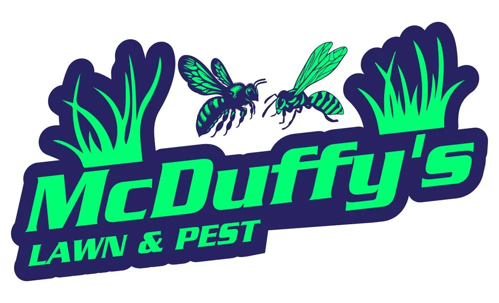 Professional yard maintenance for beautiful yards across Newport, TN - McDuffy's Lawn & Pest