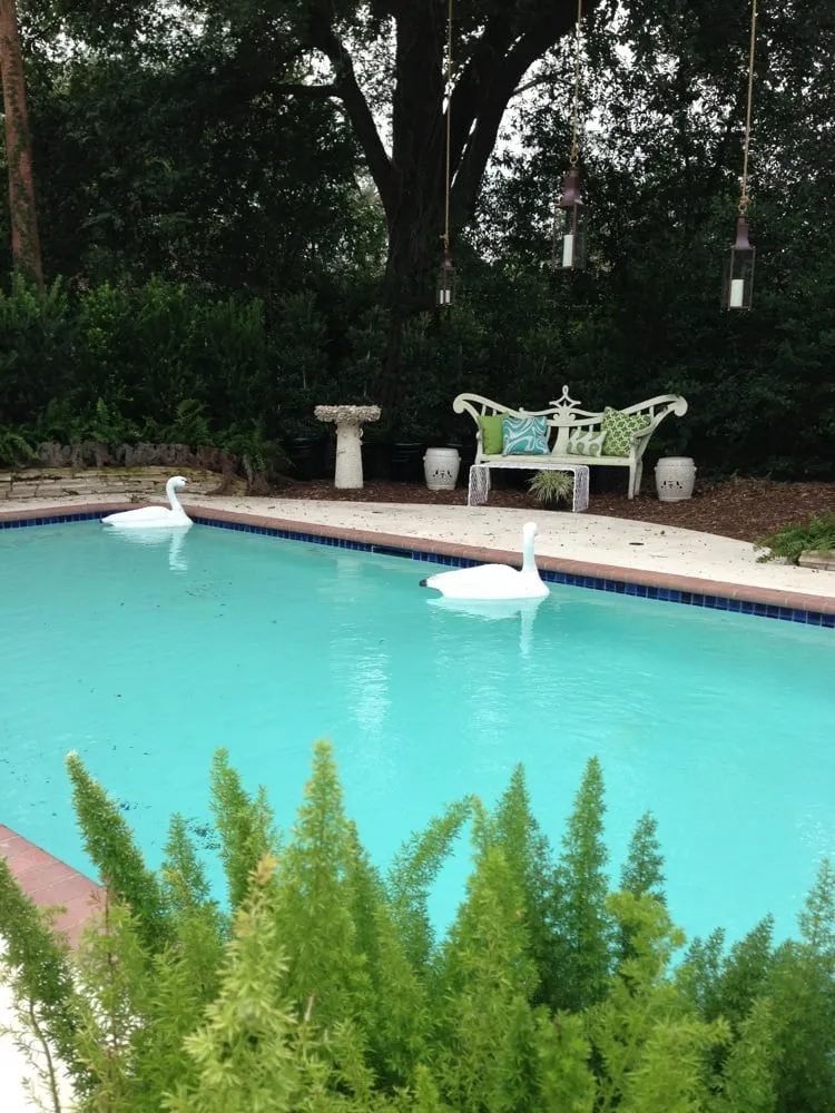 Affordable landscape design in Houston, TX - McDugald Steele