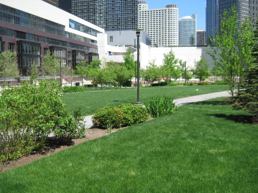 Custom lawn mowing service experts serving Palatine, IL - McEnery Lawn Care