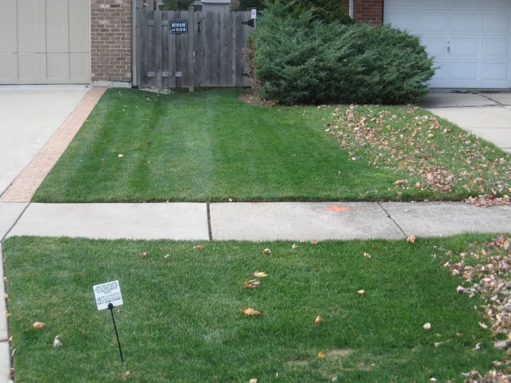 Professional yard maintenance for beautiful yards across Palatine, IL - McEnery Lawn Care