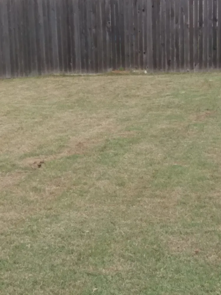 Top-rated lawn care service experts serving Bixby, OK - McEntire's Mowers & More