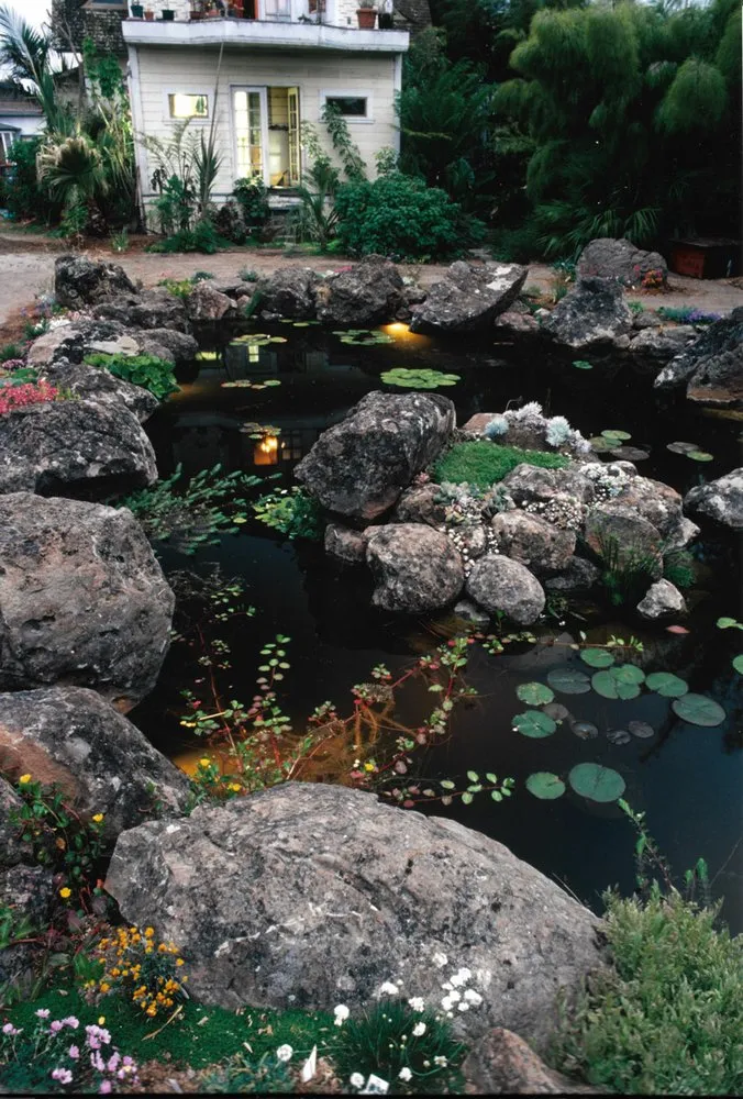 Trusted yard cleanup service experts serving Sonora, CA - McEwen Specialty