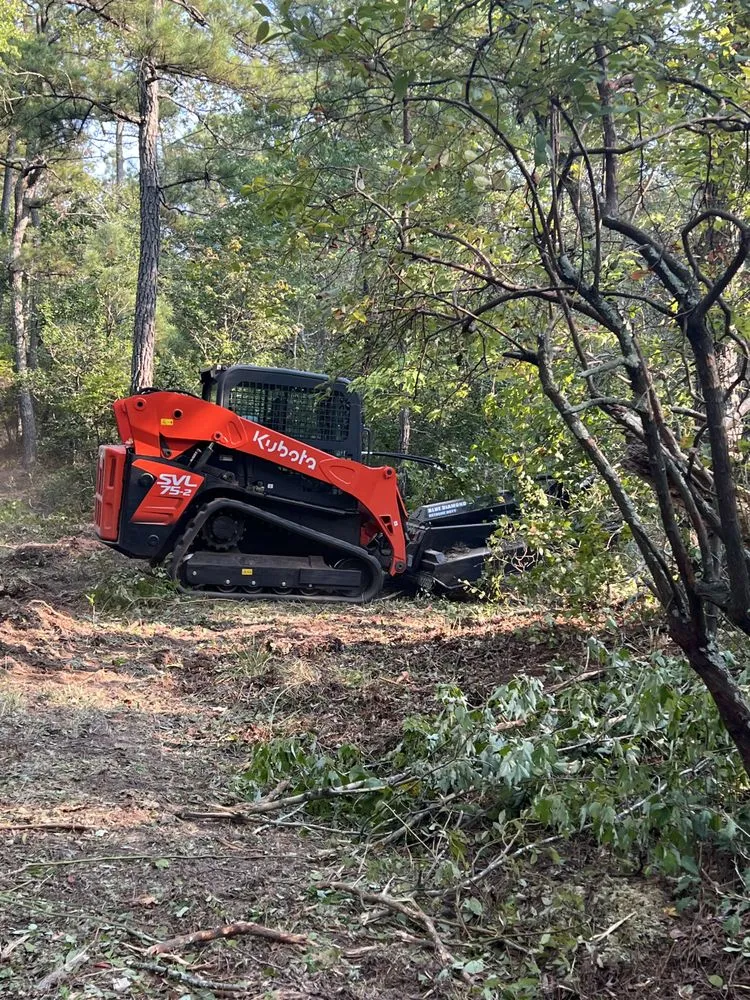 Professional lawn care service experts serving Bellamy, VA - MCF Landworks