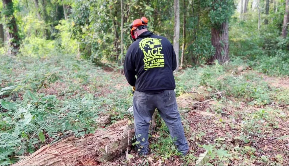Expert yard maintenance in Bellamy, VA - MCF Landworks