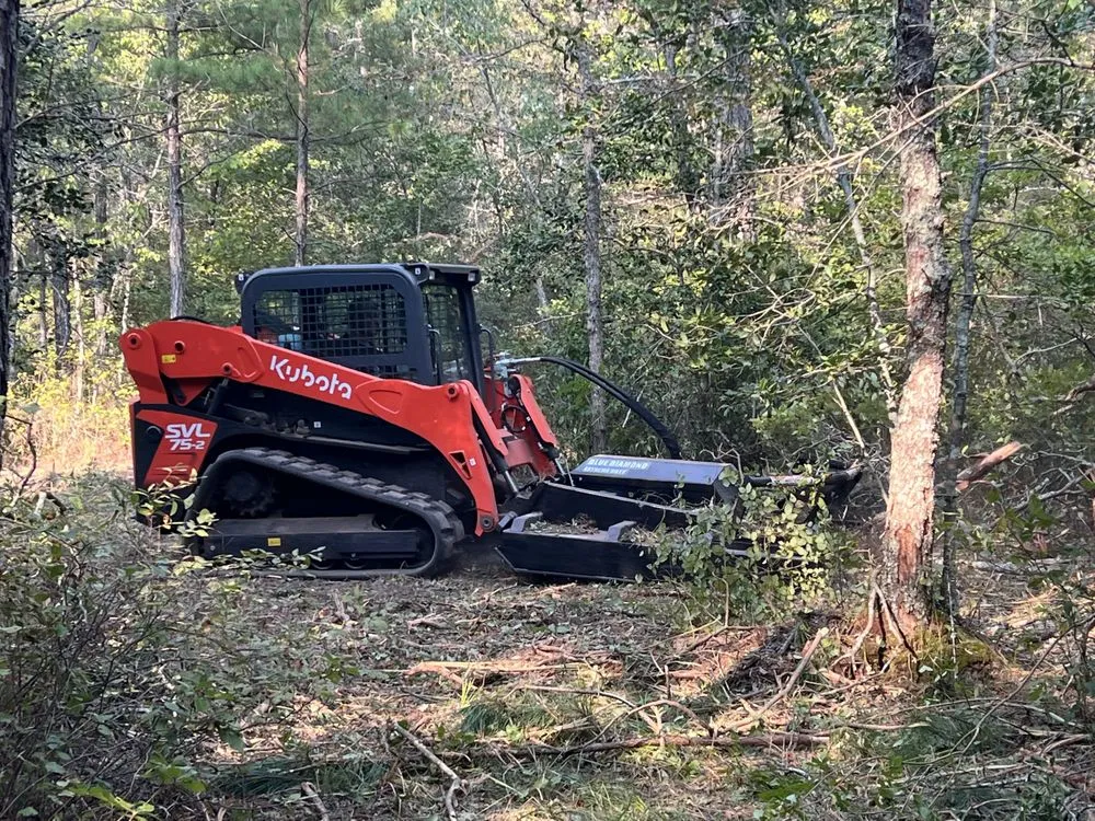 Professional garden landscaping experts serving Bellamy, VA - MCF Landworks