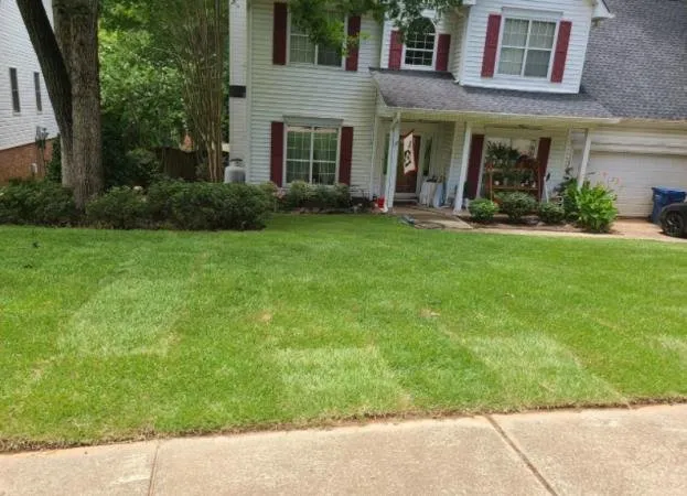 Trusted yard cleanup service experts serving Lexington, SC - McFadden Lawn Specialist