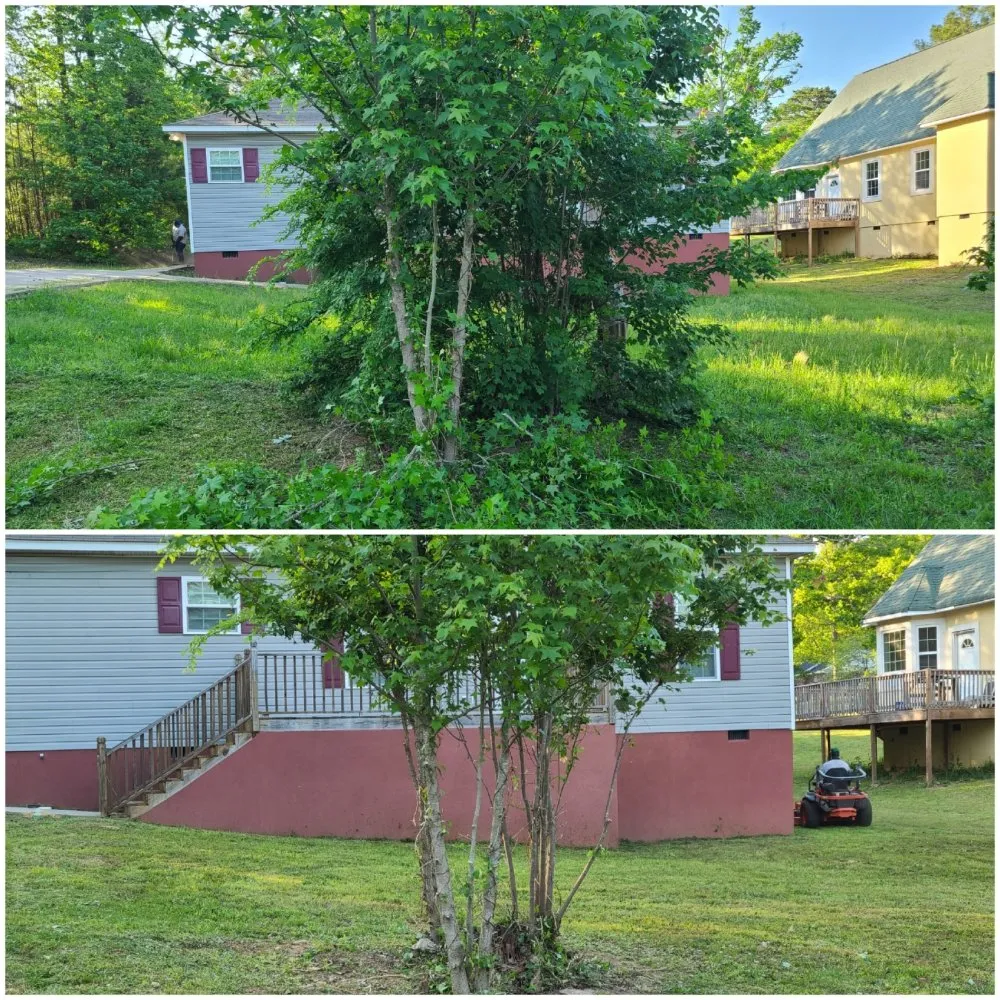 Expert outdoor landscaping with custom design across Lexington, SC - McFadden Lawn Specialist