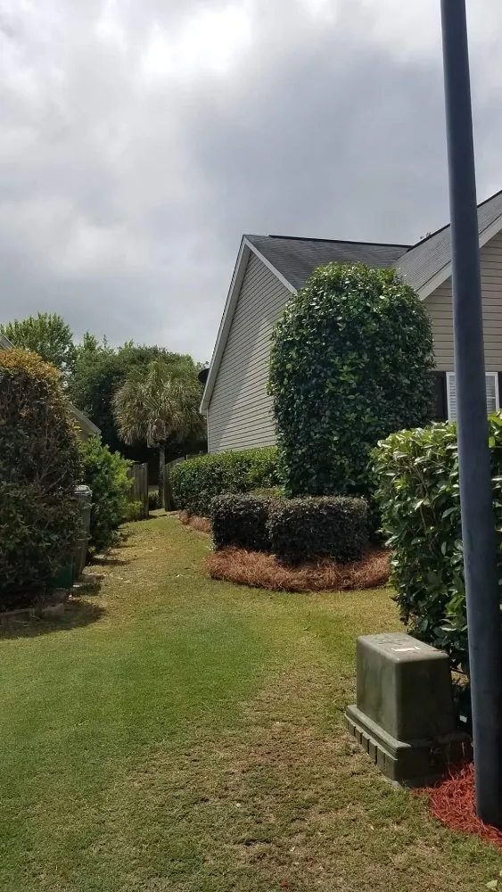 Reliable yard maintenance for year-round maintenance in Lexington, SC by McFadden Lawn Specialist