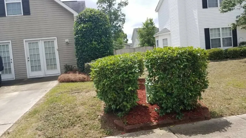 Top-rated garden landscaping in Lexington, SC by McFadden Lawn Specialist