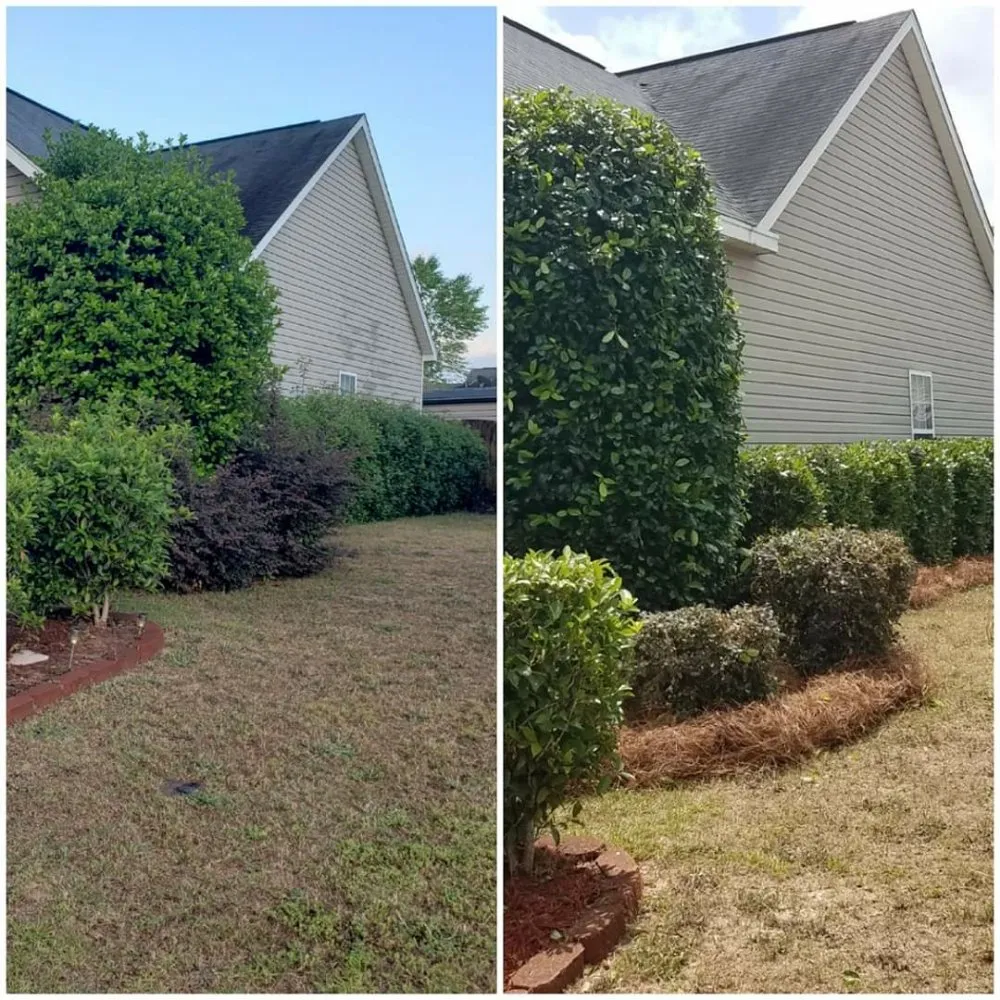 Professional lawn mowing service experts serving Lexington, SC - McFadden Lawn Specialist