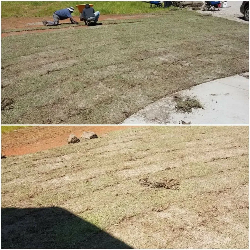 Trusted garden landscaping in Lexington, SC - McFadden Lawn Specialist