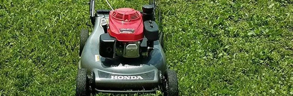 Affordable lawn mowing service experts serving New Orleans, LA - Mcfaith Lawn Care