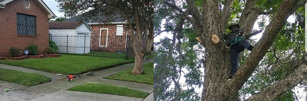 Trusted lawn mowing service in New Orleans, LA - Mcfaith Lawn Care