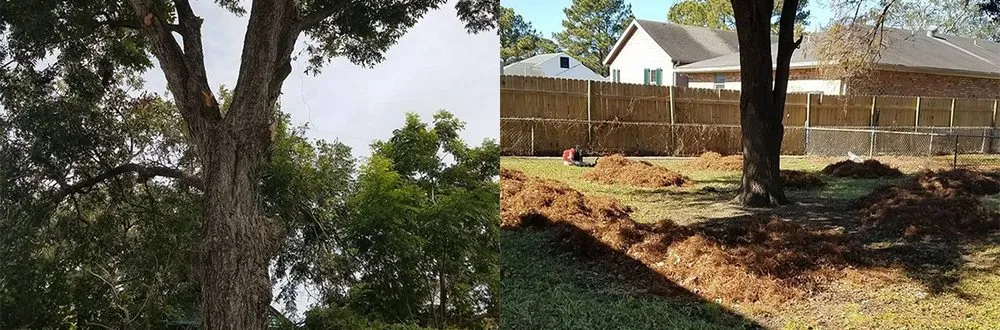 Reliable garden landscaping in New Orleans, LA - Mcfaith Lawn Care