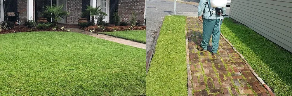 Affordable yard cleanup service in New Orleans, LA by Mcfaith Lawn Care