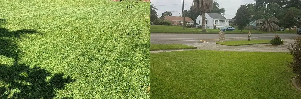 Top-rated garden landscaping for outdoor upgrades in New Orleans, LA by Mcfaith Lawn Care