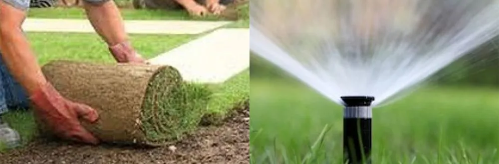 Professional residential landscaping in New Orleans, LA - Mcfaith Lawn Care