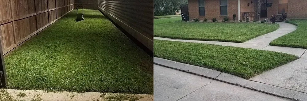 Affordable yard maintenance in New Orleans, LA by Mcfaith Lawn Care